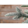 Триумф ель TRIUMPH TREE, Нормандия, 100% литая, 230 см, заснеженная 72148